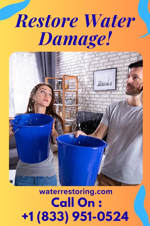 water restoration Southern Water Damage Services Winnetoon