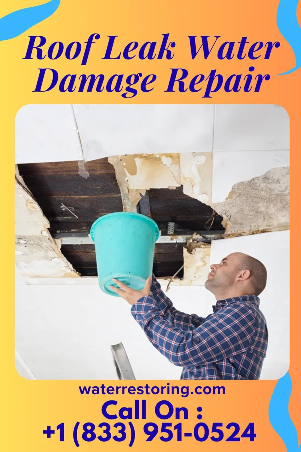 Roof Leak Water Damage Repair in Winnetoon, NE